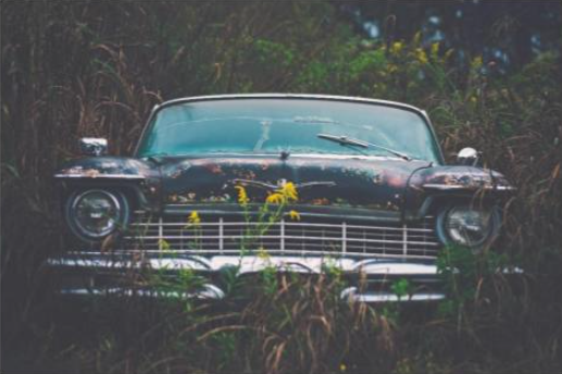 An old, rusty car abandoned in tall grass.